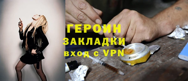 сатива Беломорск