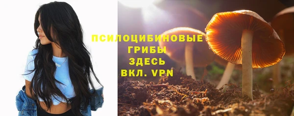 сатива Беломорск
