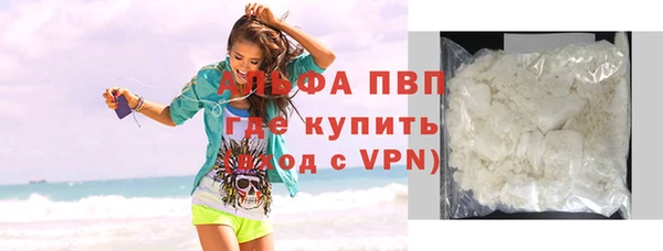 сатива Беломорск