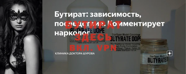 сатива Беломорск