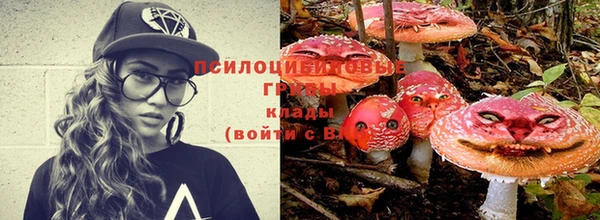 соль курить ск Белокуриха
