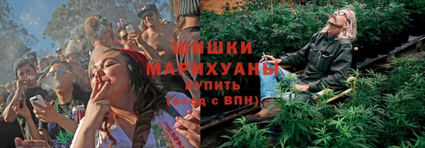 сатива Беломорск