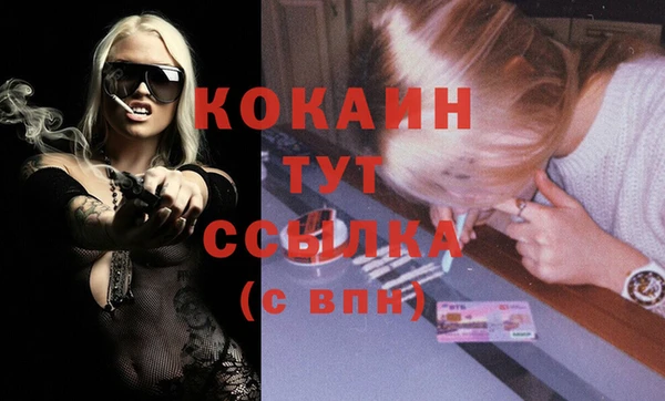 сатива Беломорск