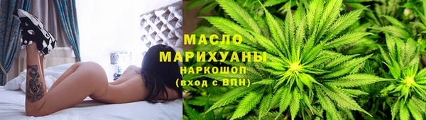 сатива Беломорск