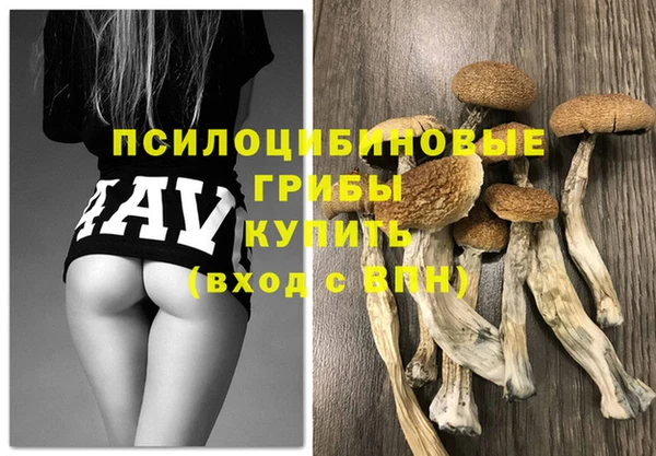соль курить ск Белокуриха