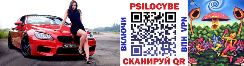 Галлюциногенные грибы Psilocybe  цена наркотик  Навашино 